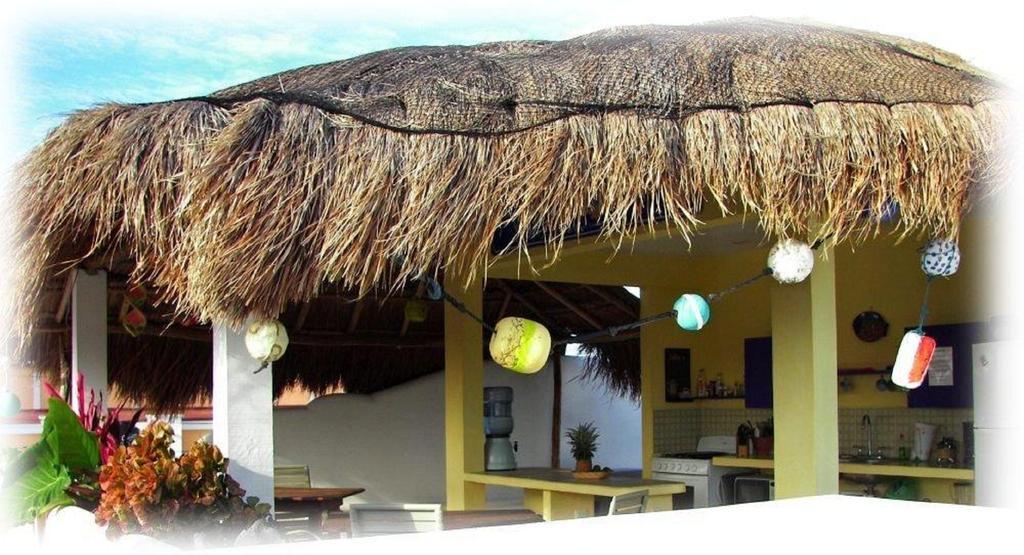 Coral Reef Inn Cozumel Ngoại thất bức ảnh